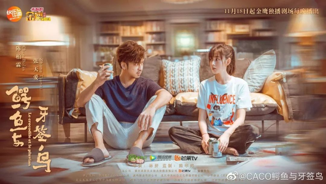 共生的“鳄鱼与牙签鸟”,隐喻95后情感观,藏着生态叙事的新门道