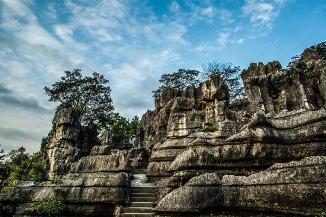 游玩半价票,0元门票玩上海
