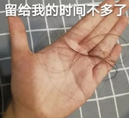 知识付费降维打击,知识付费被坑怎么办