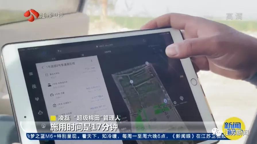 棉田种植方式,两个人挑战3000亩新疆棉田