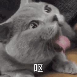 情侣同居过夜到底有多危险？看完我彻底慌了！！！