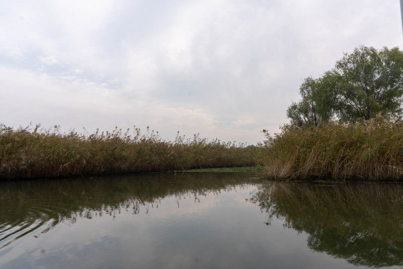 森林麋鹿公园,森林麋鹿