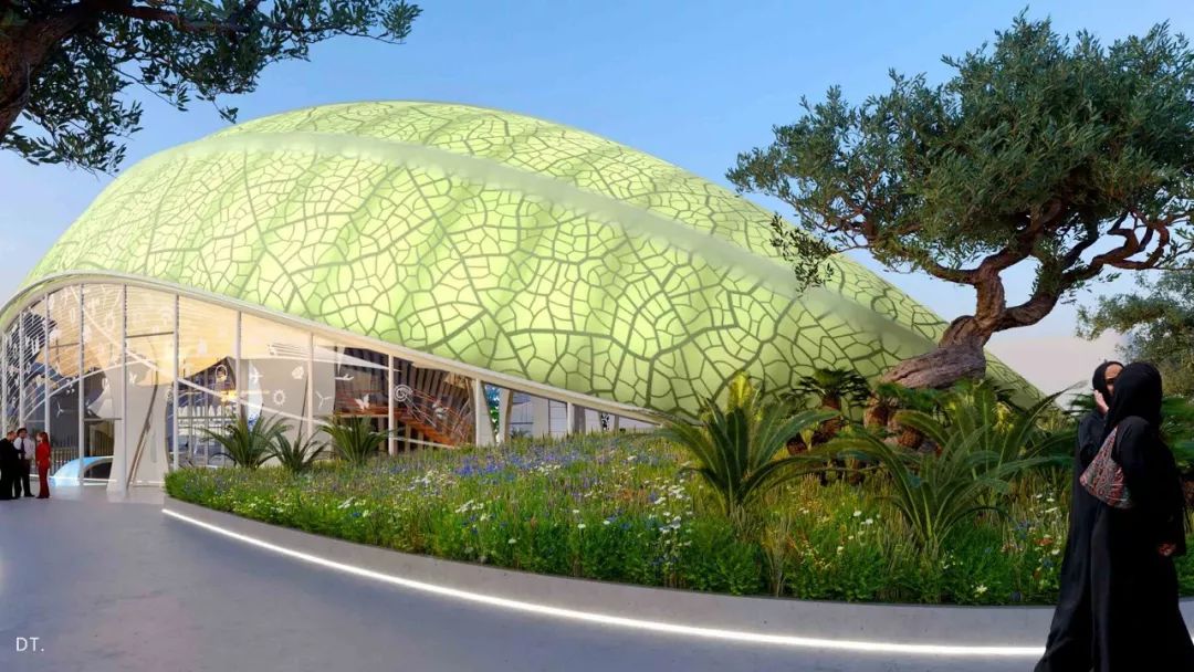 2020迪拜世博会，各国展馆“群魔乱舞”！大型综艺建筑师的夏天？