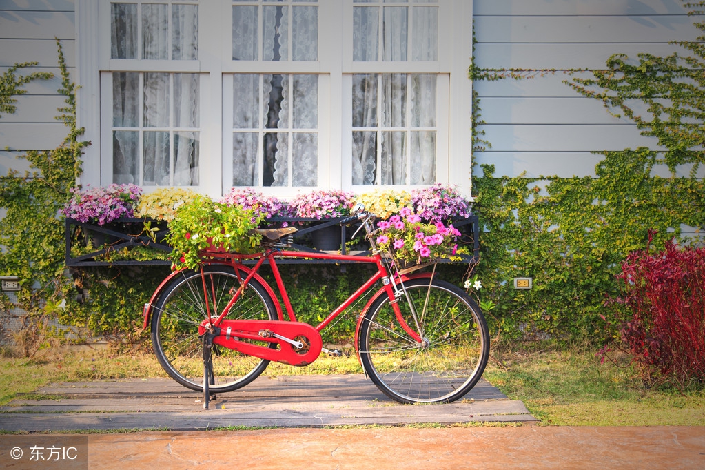 35岁小伙保温杯里泡枸杞,保温杯里泡枸杞90后开始养生