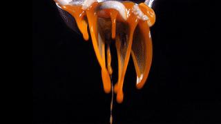 一条鱼卖出12000000份！这家人气鱼锅终于来合肥啦