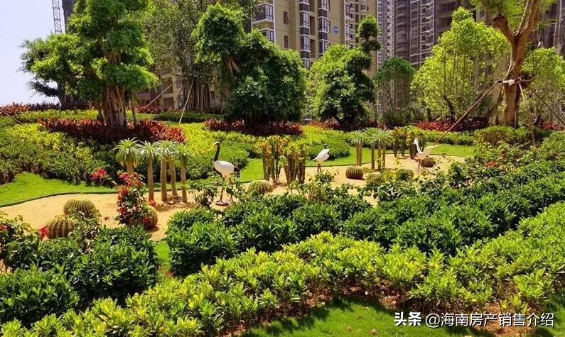 临高汇泽蓝海湾最新消息,海南汇泽蓝海湾最新消息