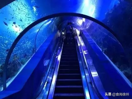 深夜重磅消息,深夜突发事件新闻