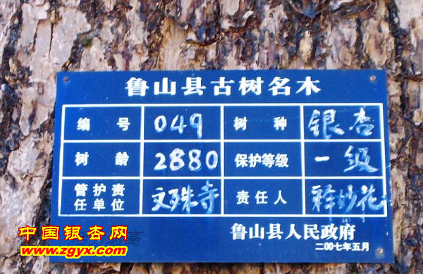 千年古刹鲁山文殊寺,鲁山文殊寺景区