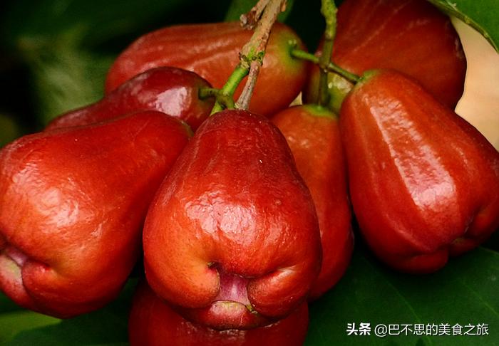 盘点那些令人心动的魅力水果,这些神奇的水果你认识几种