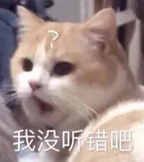 来就来呗，带什么刀和枪？