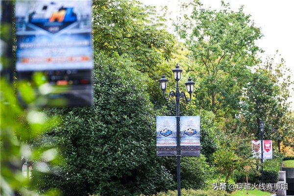 进退两难的伪命题退役选手的下一站在何方