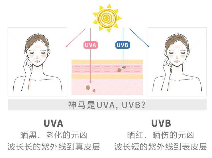 珠峰登顶人数最多一次,珠峰登顶线路和纪录