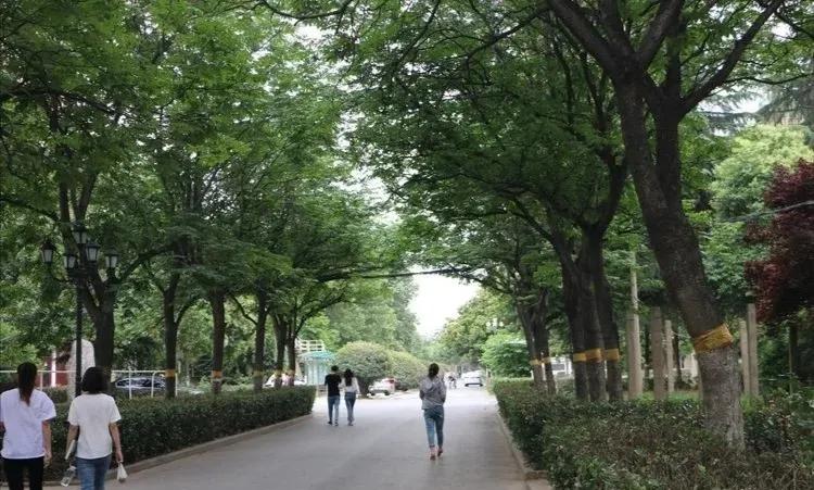 河南省商务中等专业学校招生简章,河南商业中专学校