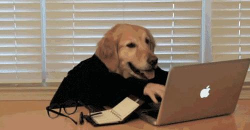 “开电脑”真不能说“openthecomputer”！！别再搞错啦