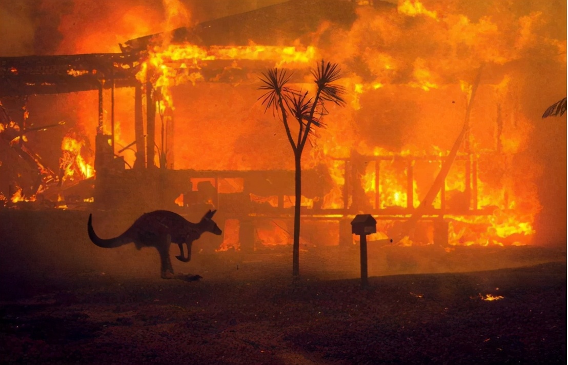 澳大利亚山火再次燃烧，火势已难以扑灭，祸根是4万年前留下的