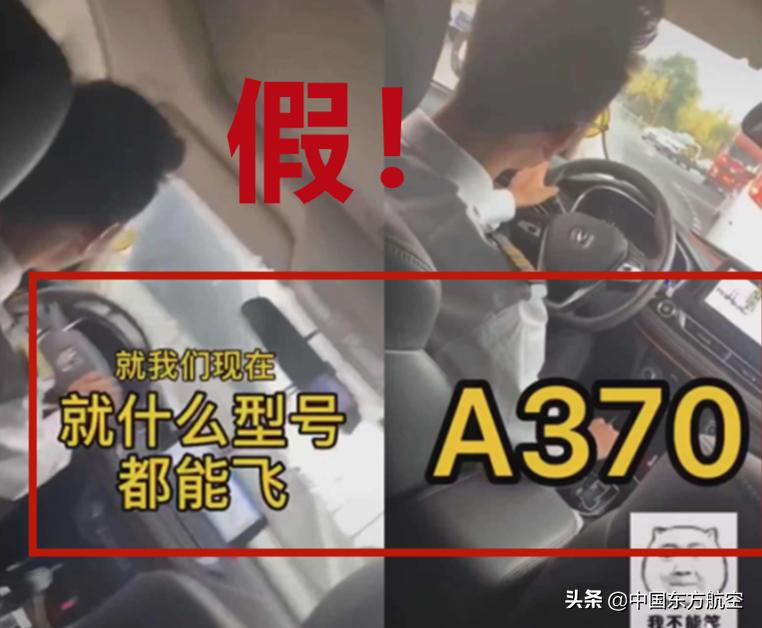 飞行员打假事件,飞行员评判标准