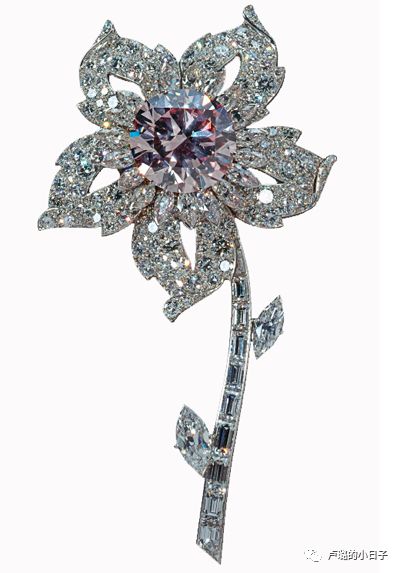 英国女王胸针高档轻奢,女王最贵胸针排行榜