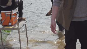 鱼竿的价格是怎么打下来的,鱼竿的价钱是如何打下来的