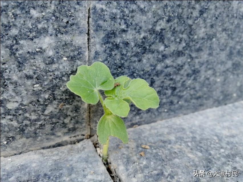 蹲的时间长一站起来头晕,蹲的时间长站起来突然晕一下