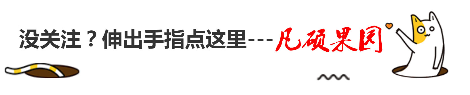 居然能改变味觉的水果，难怪叫“神秘果”，而且价格不菲