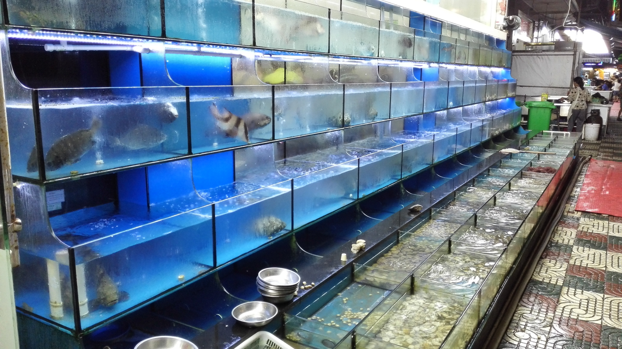 舟山群岛第5大岛沙雕故乡朱家尖,10里金沙美如画,大青山来自驾