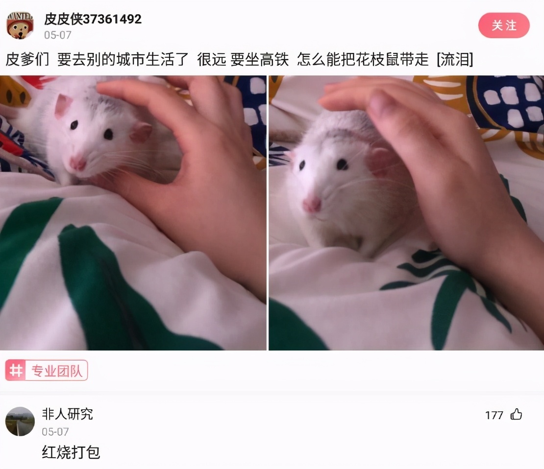 情侣密室逃脱怎么样,经营一家密室逃脱怎么样