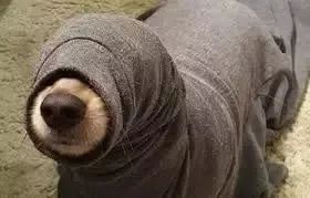 割包皮的几个棘手的情况,医院割包皮会不会被宰