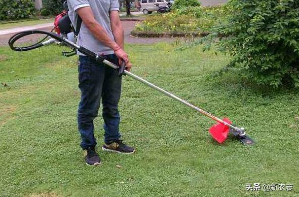 普通人的致富商机,农村商机利润最高的100个商机