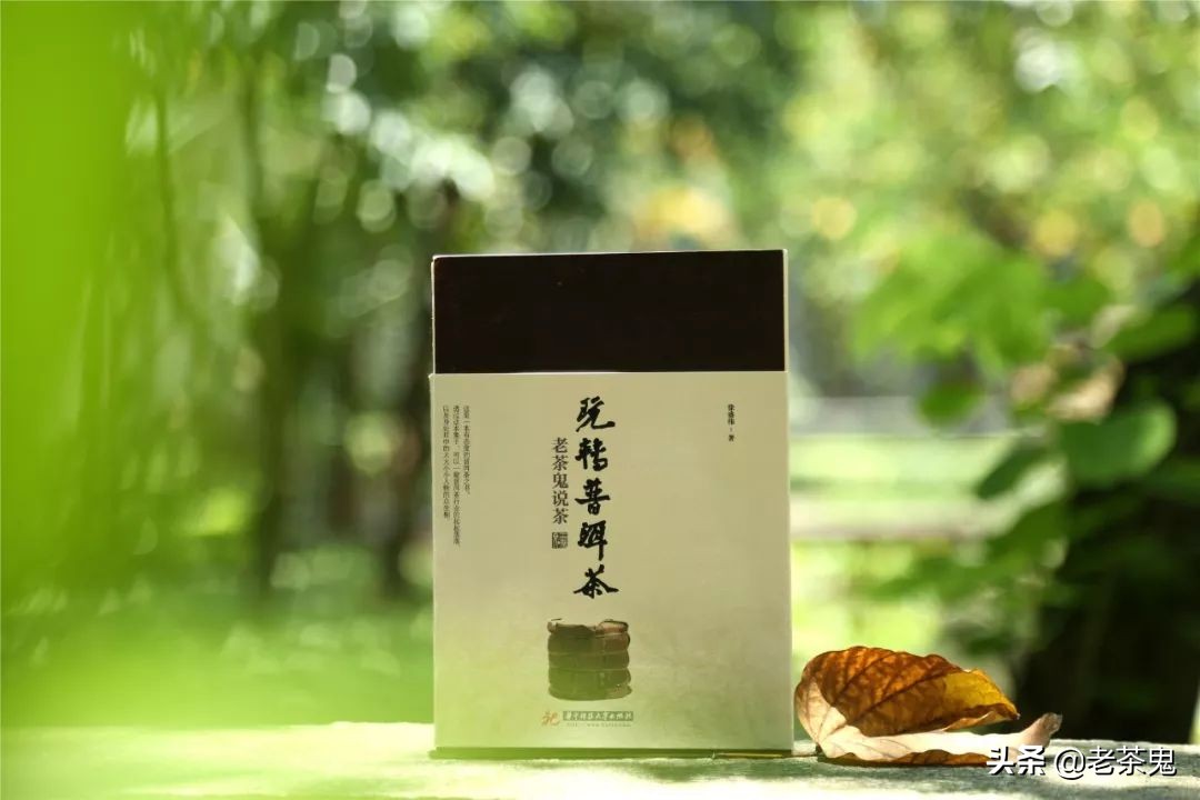 老鬼说茶玩转普洱茶,玩转普洱茶老茶鬼说茶