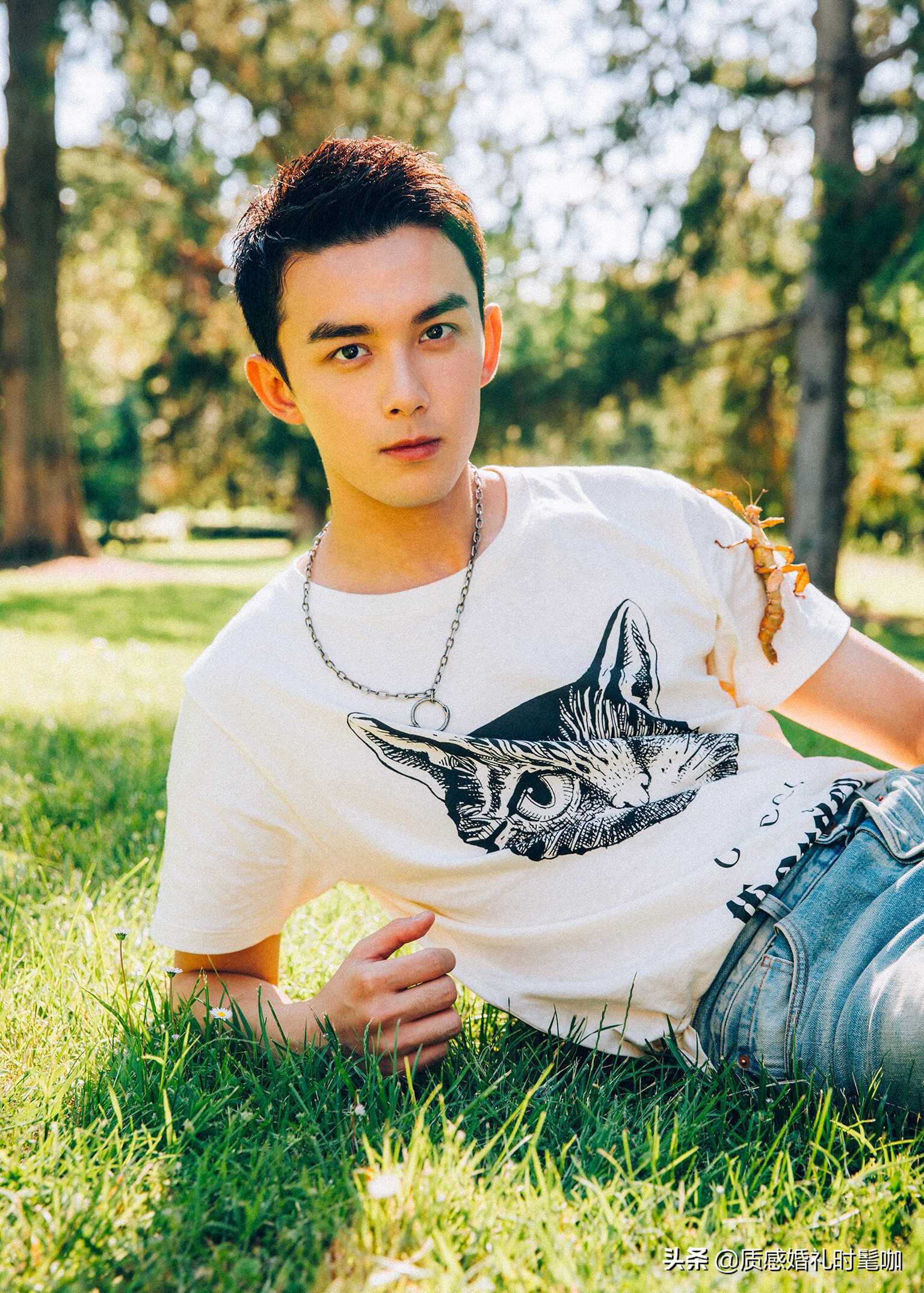 蝗虫算是物种入侵吗,蝗虫是圣甲虫吗