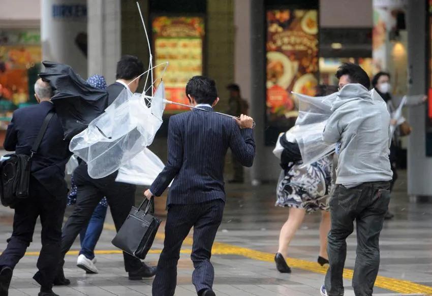 十大顶级雨伞品牌天堂伞,天堂伞质量排名第一