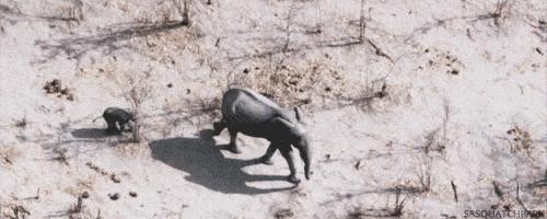 他们被杀之后，依然在爱你