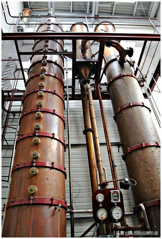 最好喝的谷物威士忌排行,单一谷物威士忌和单一麦芽威士忌