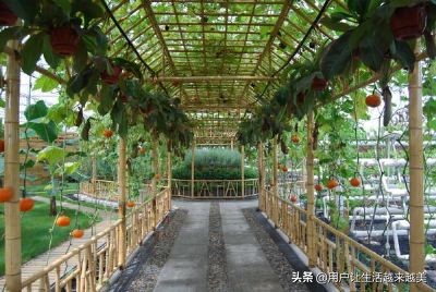 太仓沙溪古镇什么时候去,太仓沙溪古镇有什么旅游景点