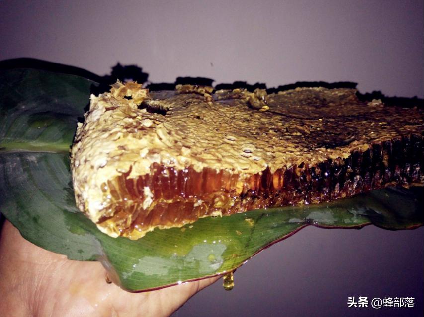 为什么土蜂蜜不稠,从一车难求到销量暴跌