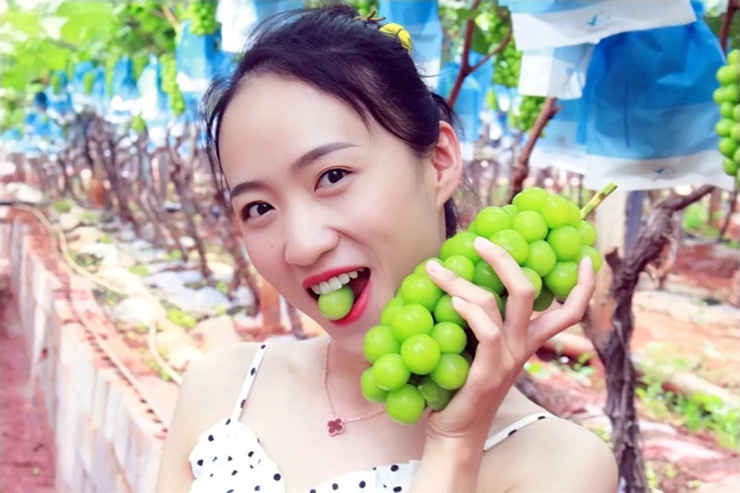 葡萄界的爱马仕晴王,葡萄界中的爱马仕跌落