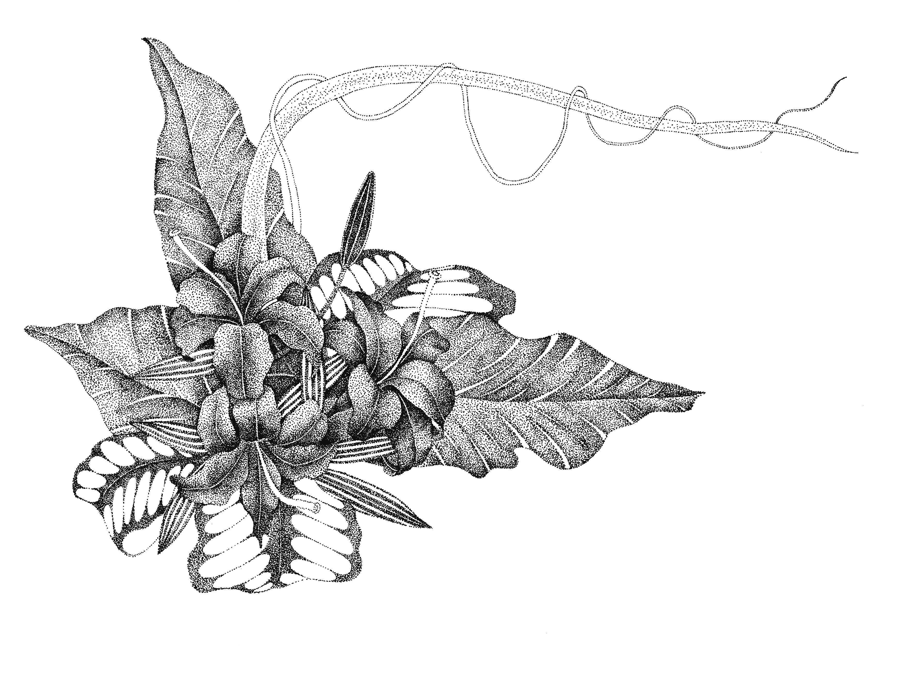 插画绘画教程纸绘,怎么画简单好看的插画教程