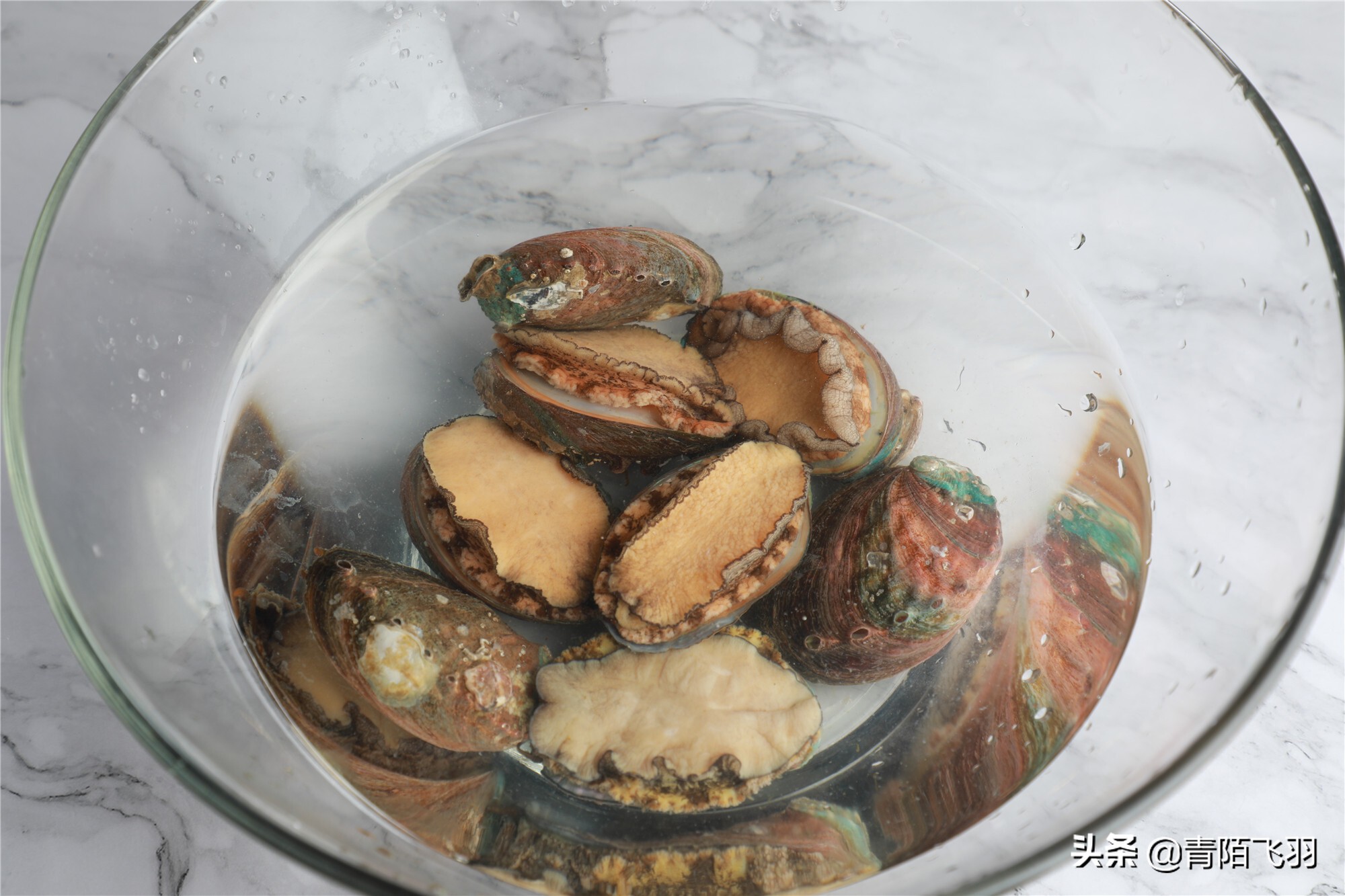 鲍鱼鱼怎么做最好吃,鲍鱼怎么做软烂q弹