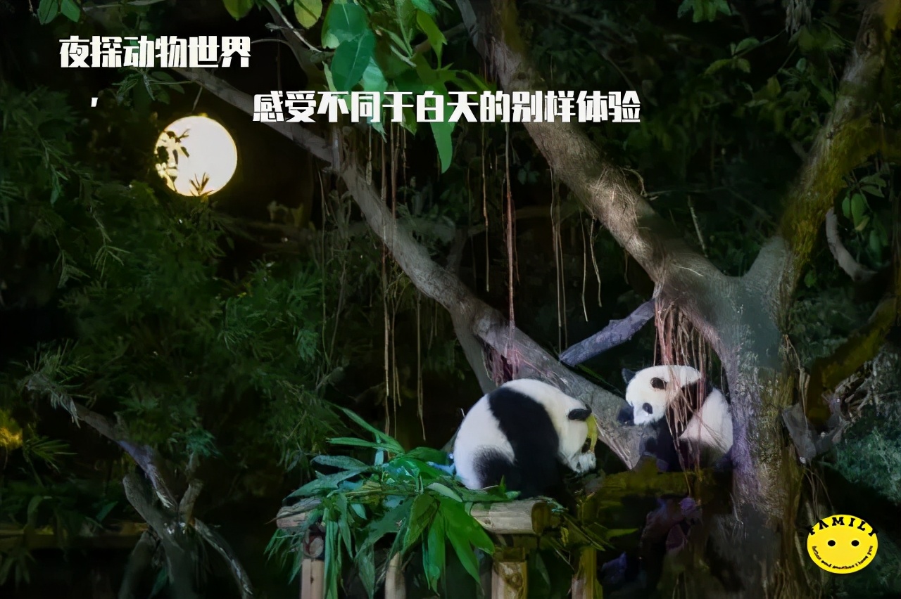 广州长隆儿童欢乐世界春节,广州长隆欢乐世界春游儿童玩什么