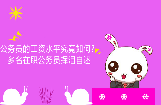 公务员的薪酬水平案例,公务员的待遇到底有多好