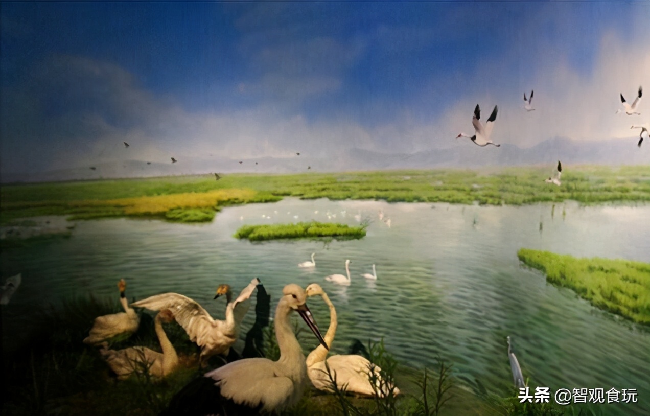 上饶市在江西经济排名,上饶旅游收入为什么那么高