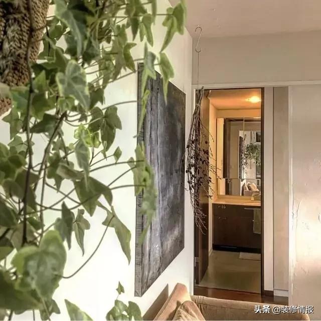 丁克夫妻一人一个房间,两人三餐四季爸妈的爱情