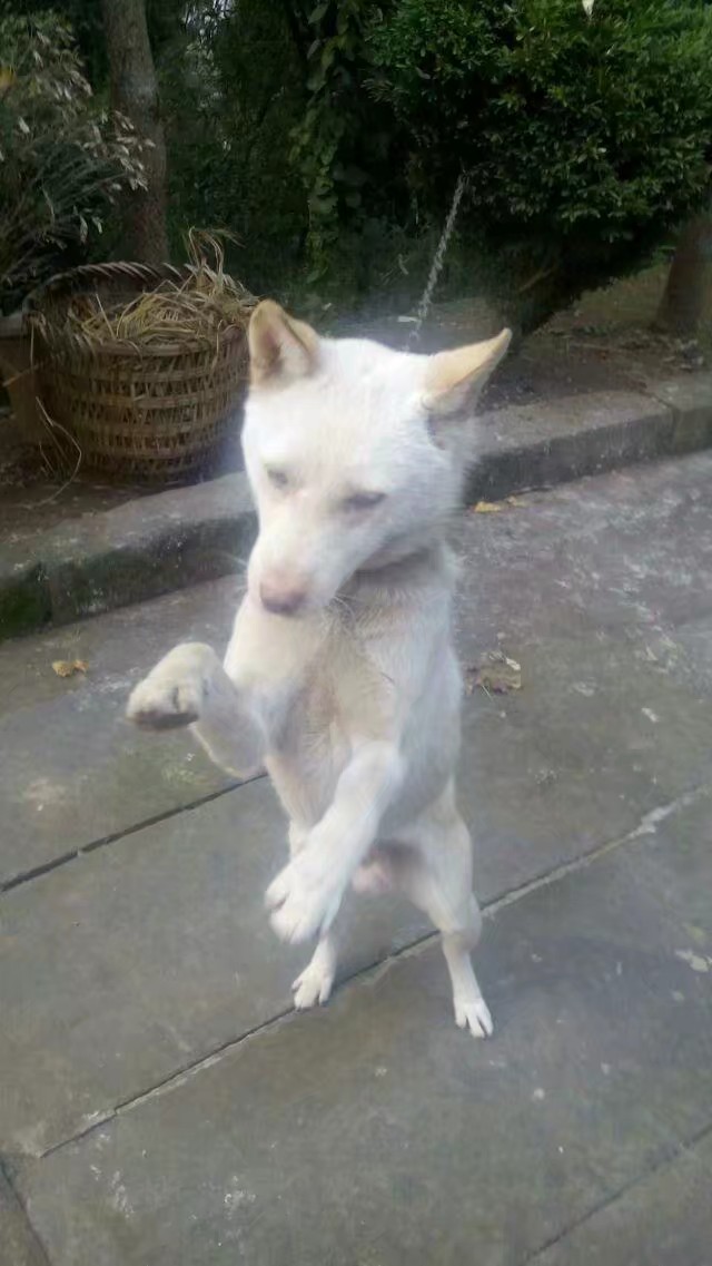 手机免费修复老照片软件,老照片扫描到手机