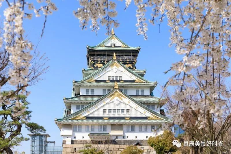 大阪ose期货国内可以交易吗,大阪osaksa食堂