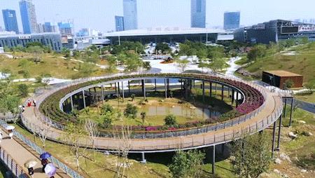 深圳中心公园足球场,深圳中心公园大草坪