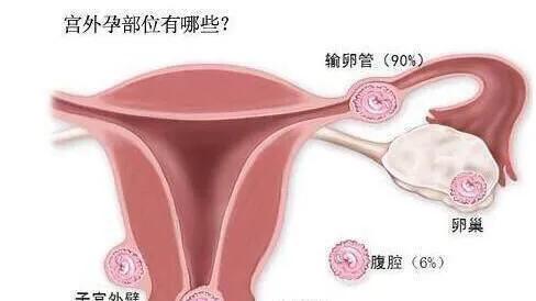 专题科普：怀孕那些事（二）