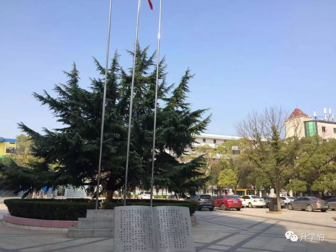 一文读懂国际学校,外国语象湖学校