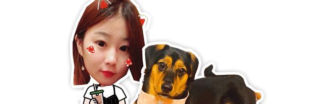 猫咪挠耳朵都快破了是怎么回事,猫咪得了猫癣挠耳朵怎么办