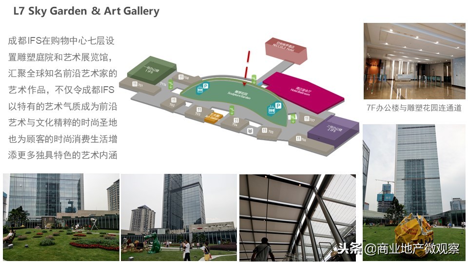 在成都看ifs熊猫,成都ifs上的爬墙大熊猫
