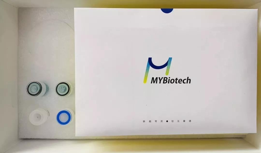 疫情下的中国超燃,疫情下的西安让人泪目